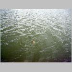 Kozlov 2.4.2008. -14.JPG